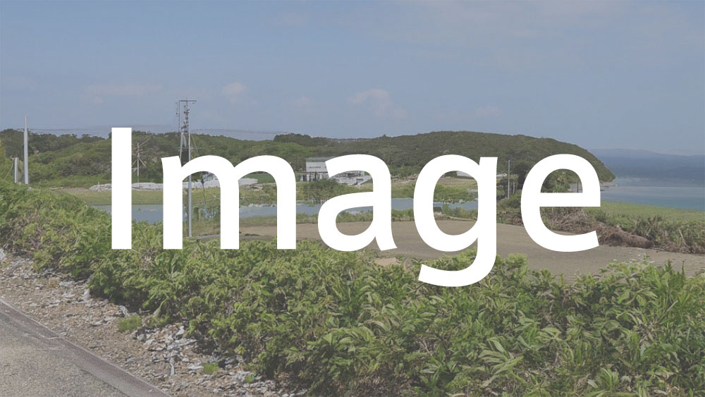 実績記事アイキャッチ画像